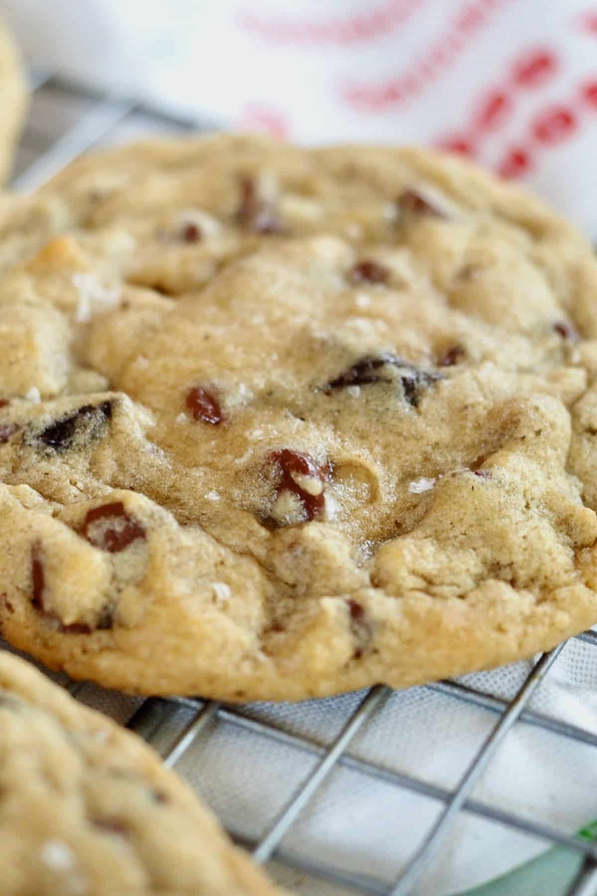 Close up of chewy chocolate chip cookies on cooling rack.