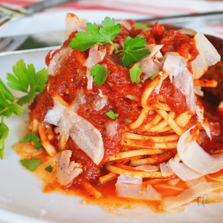 Best Authentic Italian Spaghetti Sauce with pasta swirled on a plate sprinkled with parmesan cheese and parsley.