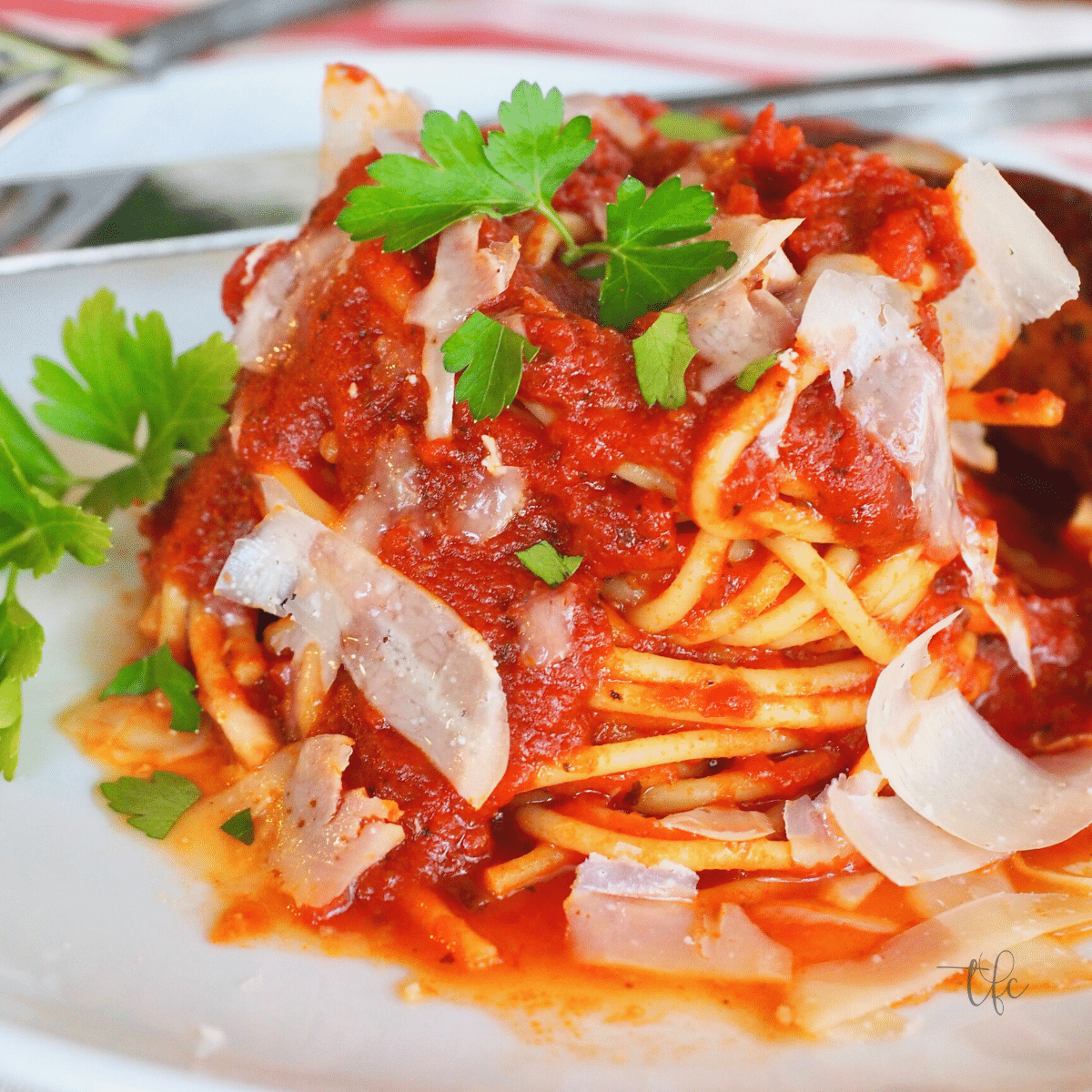 Best Authentic Italian Spaghetti Sauce with pasta swirled on a plate sprinkled with parmesan cheese and parsley.