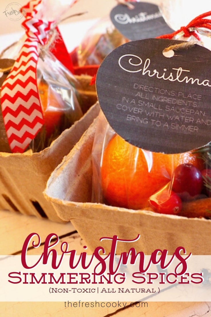 Easy Holiday Neighbor Gift Idea - Christmas Pot Simmer & Tag