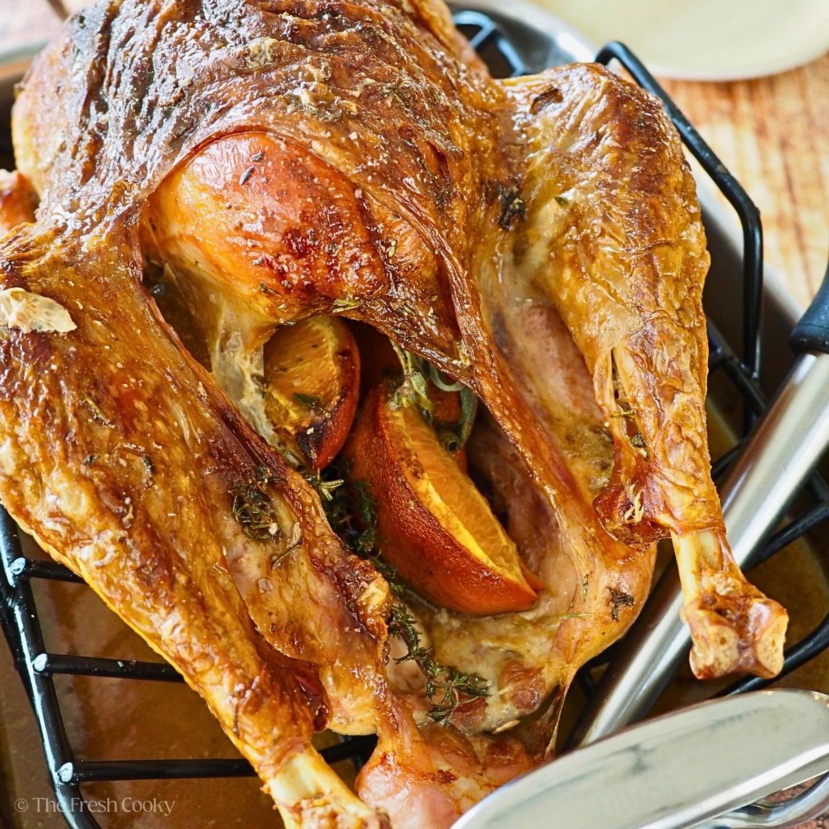 Herb buttered turkey with crispy skin and stuffed with fresh herbs, oranges in a roasting pan. 