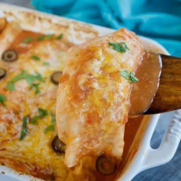 Easy, cheese enchiladas in white casserole with spatula holding up enchilada dripping with cheese.