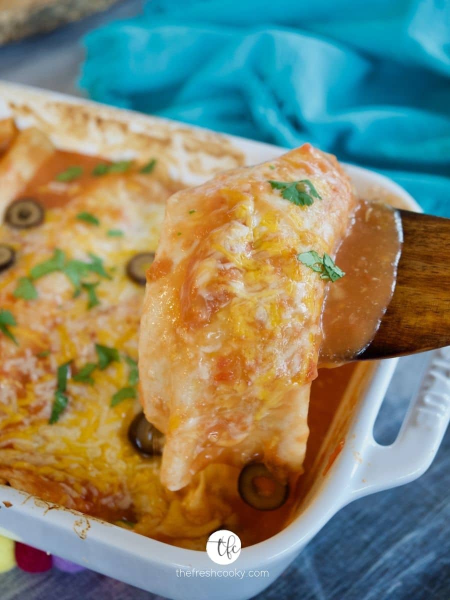 Easy, cheese enchiladas in white casserole with spatula holding up enchilada dripping with cheese.