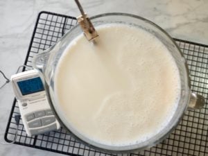 A large bowl of warm milk for making yogurt, with a temperature probe.