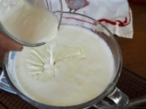 Pouring starter culture into warm milk.