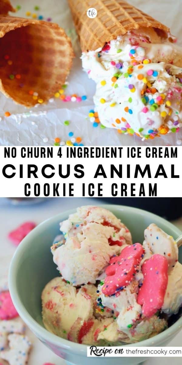 Long pin for circus animal cookie ice cream, a no churn ice cream. Top image of sugar cones with one filled with ice cream scoop and bottom image of blue bowl filled with brightly colored pink and white circus animal ice cream.