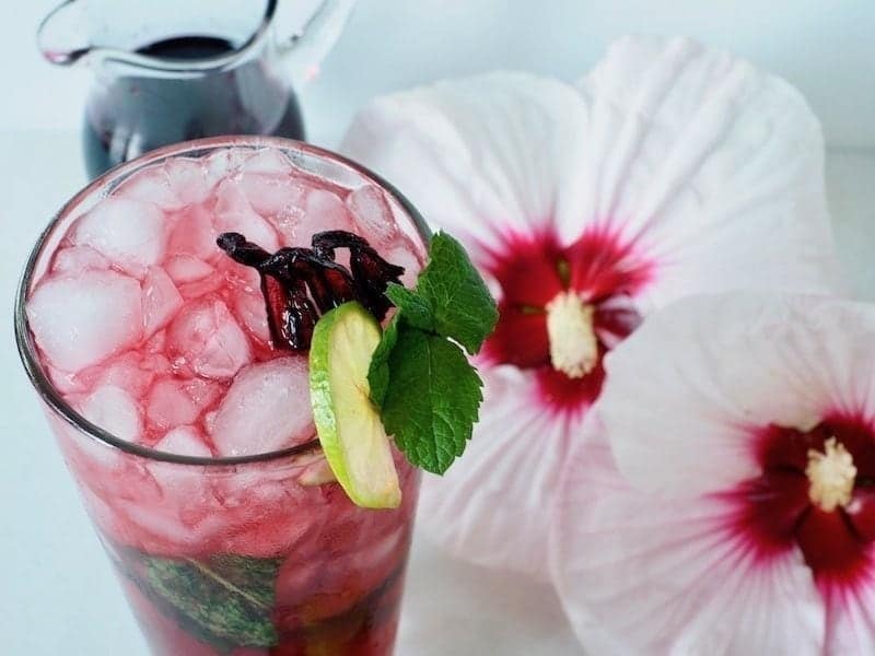 top down picture of hibiscus mojito in tall glass with lime slice, hibiscus flower (dried) and mint as garnish. Hibiscus flowers in background. 