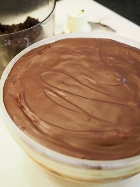Mud Pie Ice Cream Cake | www.thefreshcooky.com