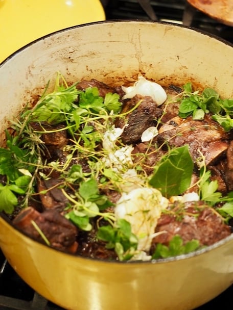 Tuck fresh herbs into the short rib mixture. 