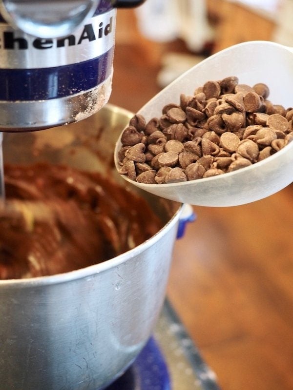 adding chocolate chips to cake batter | www.thefreshcooky.com