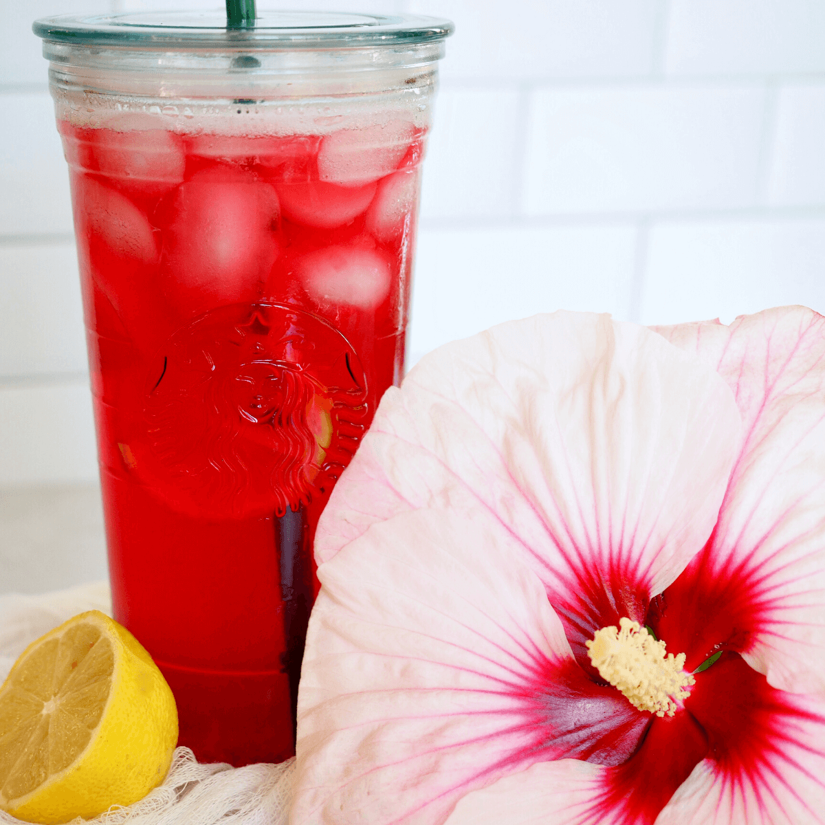 Hibiscus Mint Fruit Punch ~ Yes, more please!