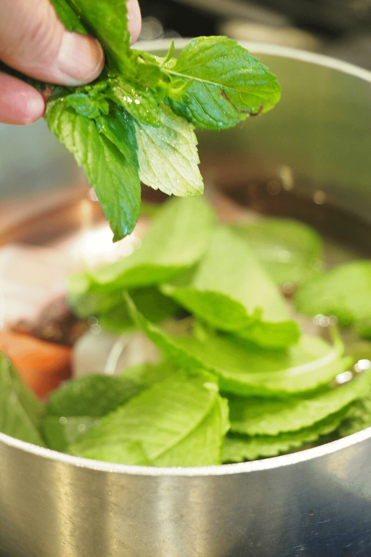 Adding fresh mint to the pot of simmering water. 