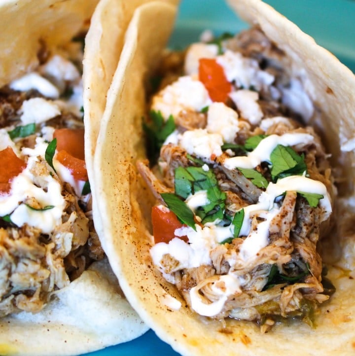 Delicious chicken gyros in tortilla with fresh tomatoes and sour cream. 