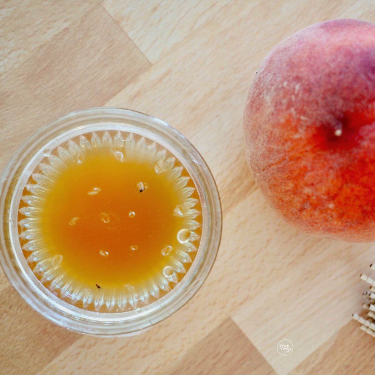 Homemade Fruit Fly Trap {Gnat Trap} • The Fresh Cooky