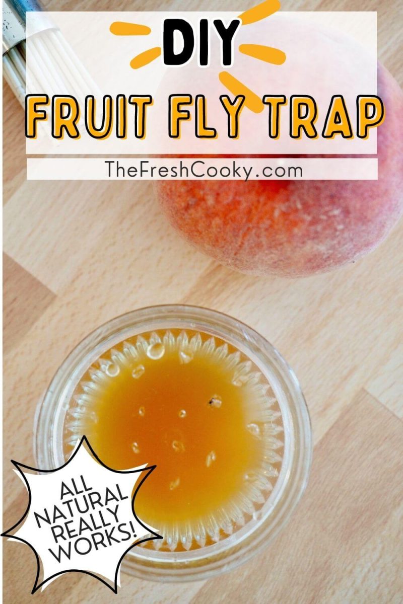 Easy DIY Fruit Fly Trap using vinegar, to pin.