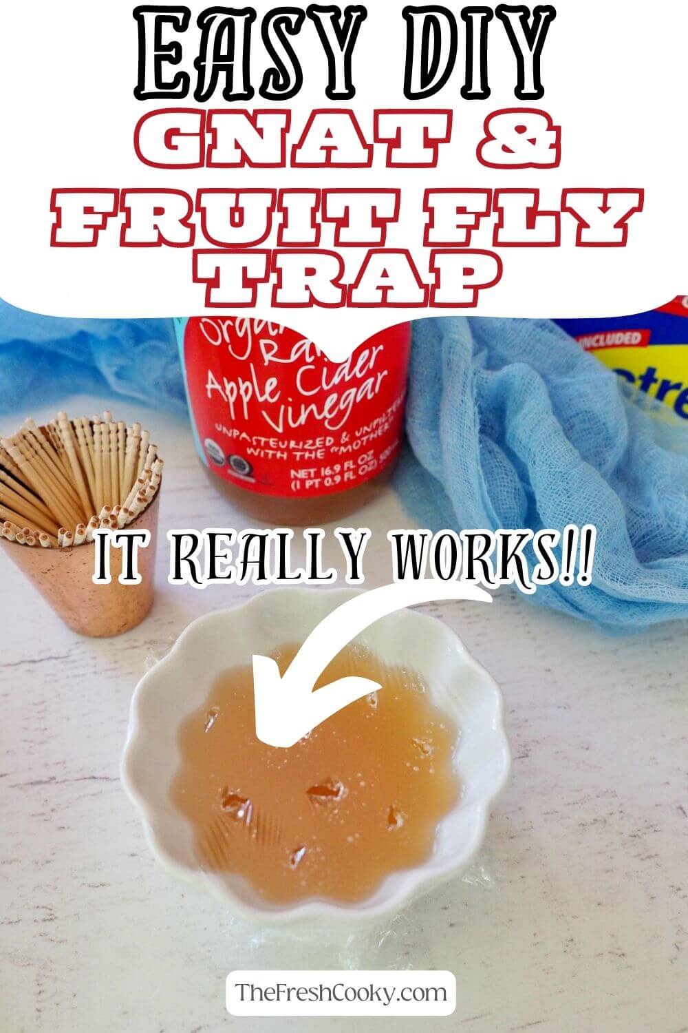DIY Fruit Fly Trap to Pin.