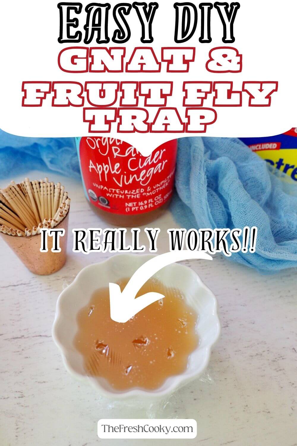 Natural fruit fly trap discount