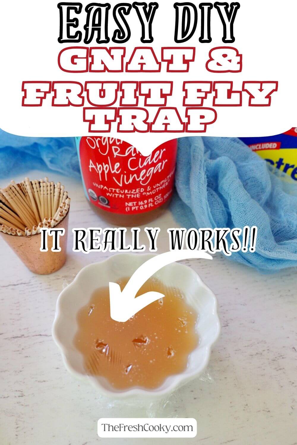 5 Homemade Gnat Traps That Really Work