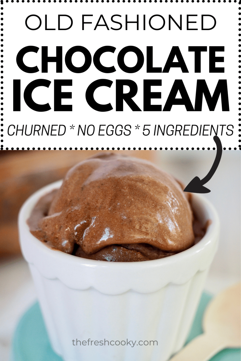 Creamiest Homemade Chocolate Ice Cream - Carve Your Craving