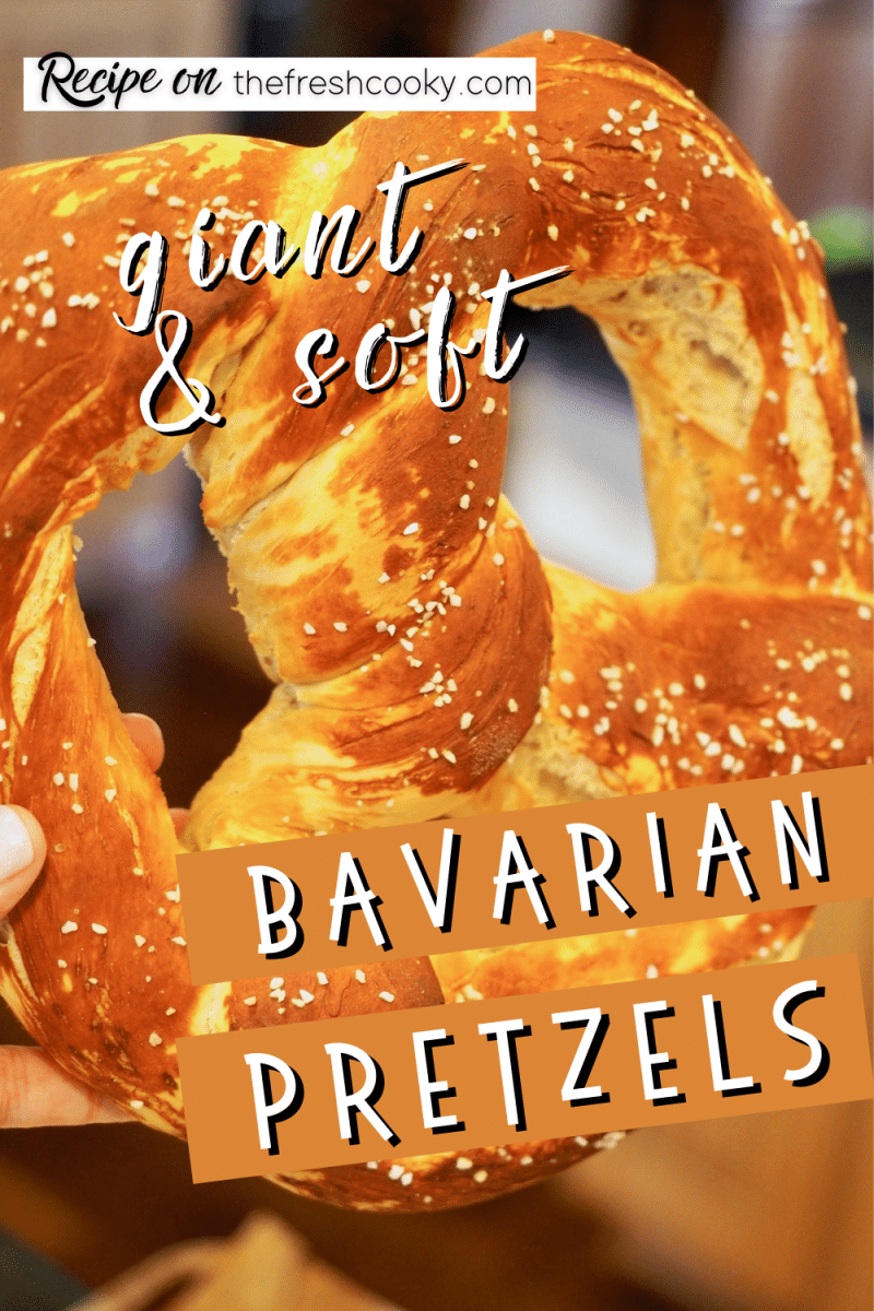 Short pin with hand holding a giant, fluffy Bavarian Pretzel that is soft and chewy.