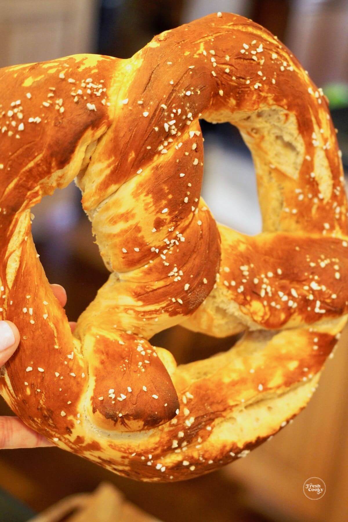 Hand holding a giant pretzel ready to tear apart for dinner. 