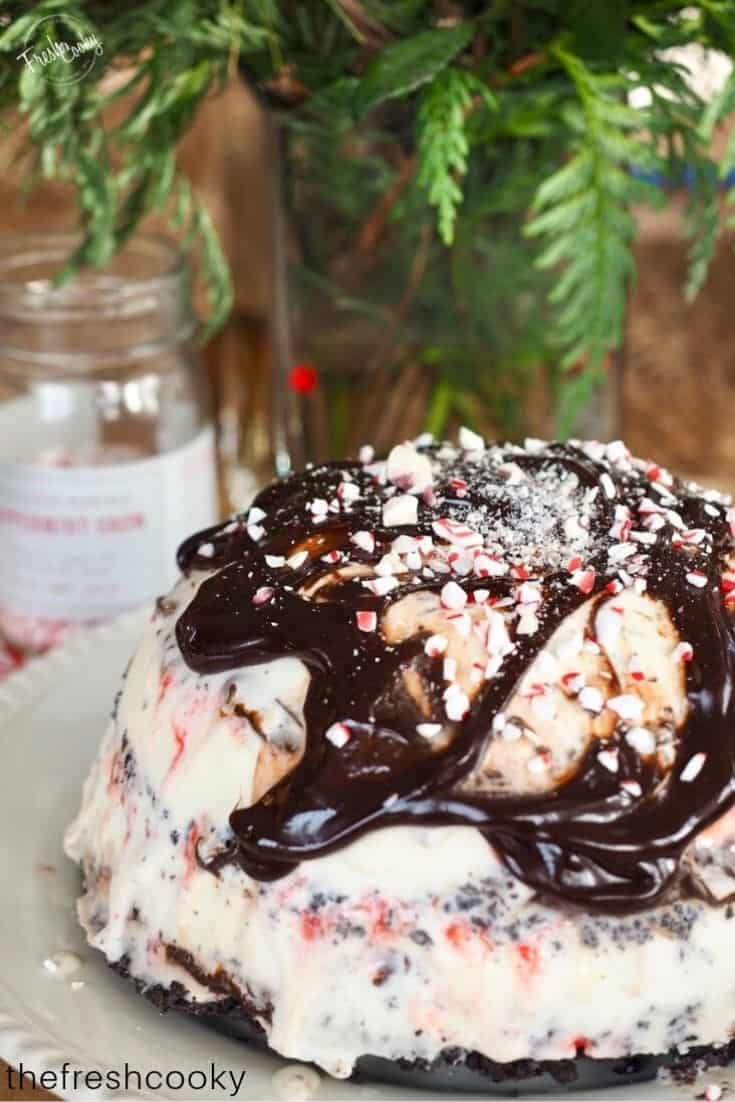 Chocolate Peppermint Ice Cream Cake