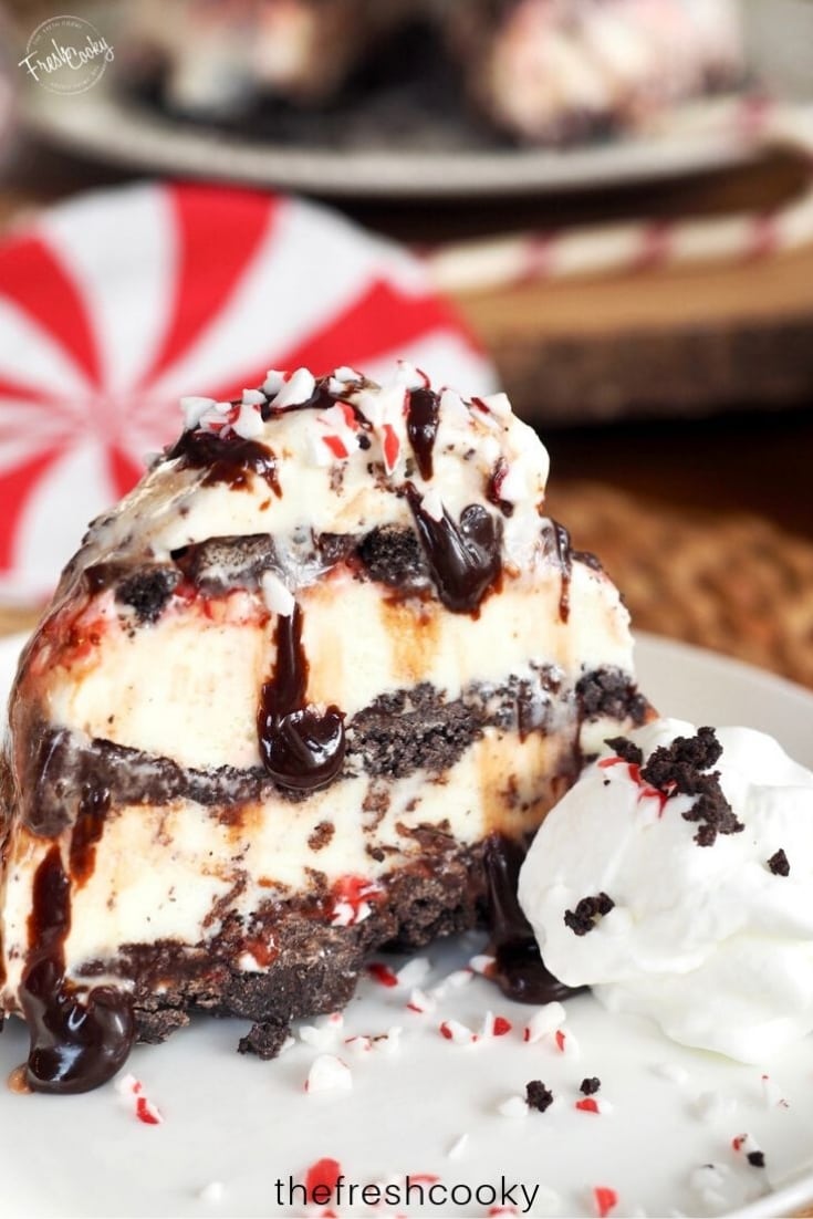 EASIEST Peppermint Ice Cream Cake • The Fresh Cooky