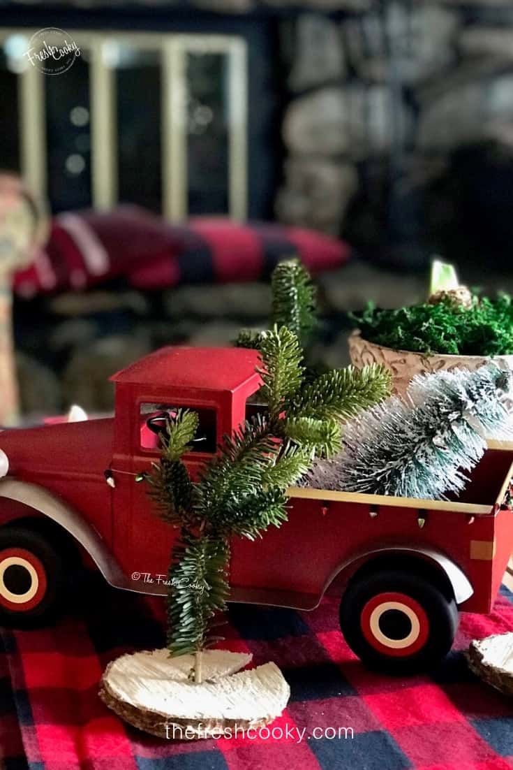 DIY Fresh Mini Christmas Trees