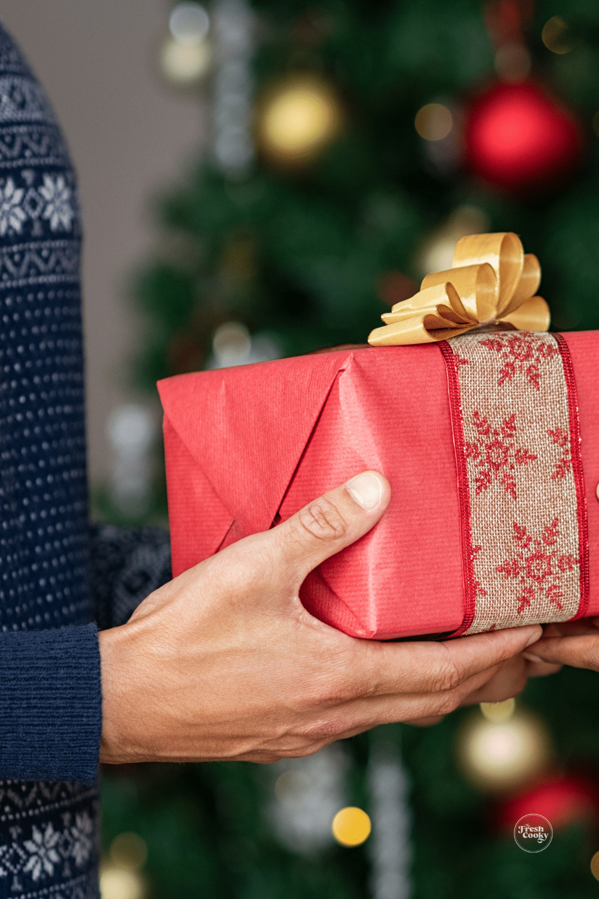 Man's hands holding a Christmas gift wrapped with a tree behind.