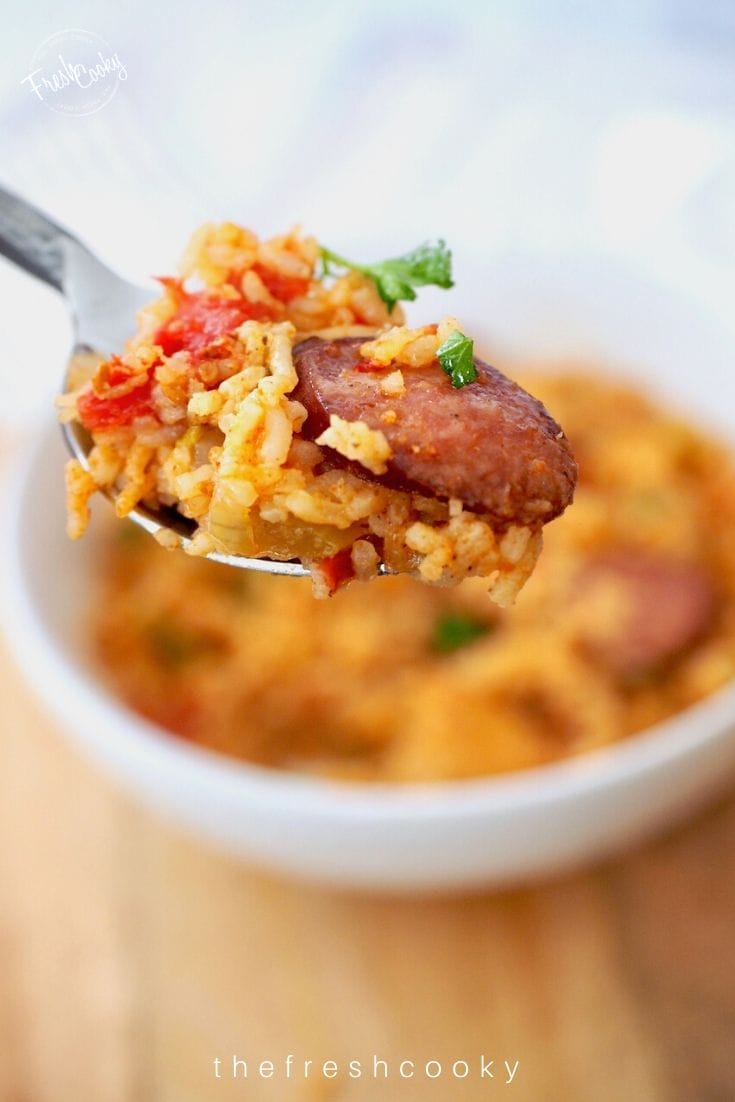 Spoonful of jambalaya with bowl in background.