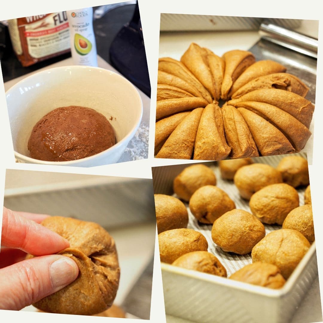 Process shots, dough in bowl ready for first rise. 2. bench scraper after dividing dough into roll sized wedges 3. pinching bottoms together to form round shape. 4. rolls in 9x13 inch pan ready for second rise. 