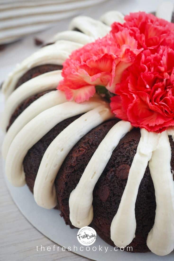 Nothing Bundt Cake Recipe  Chocolate Chocolate Chip Bundtlets and