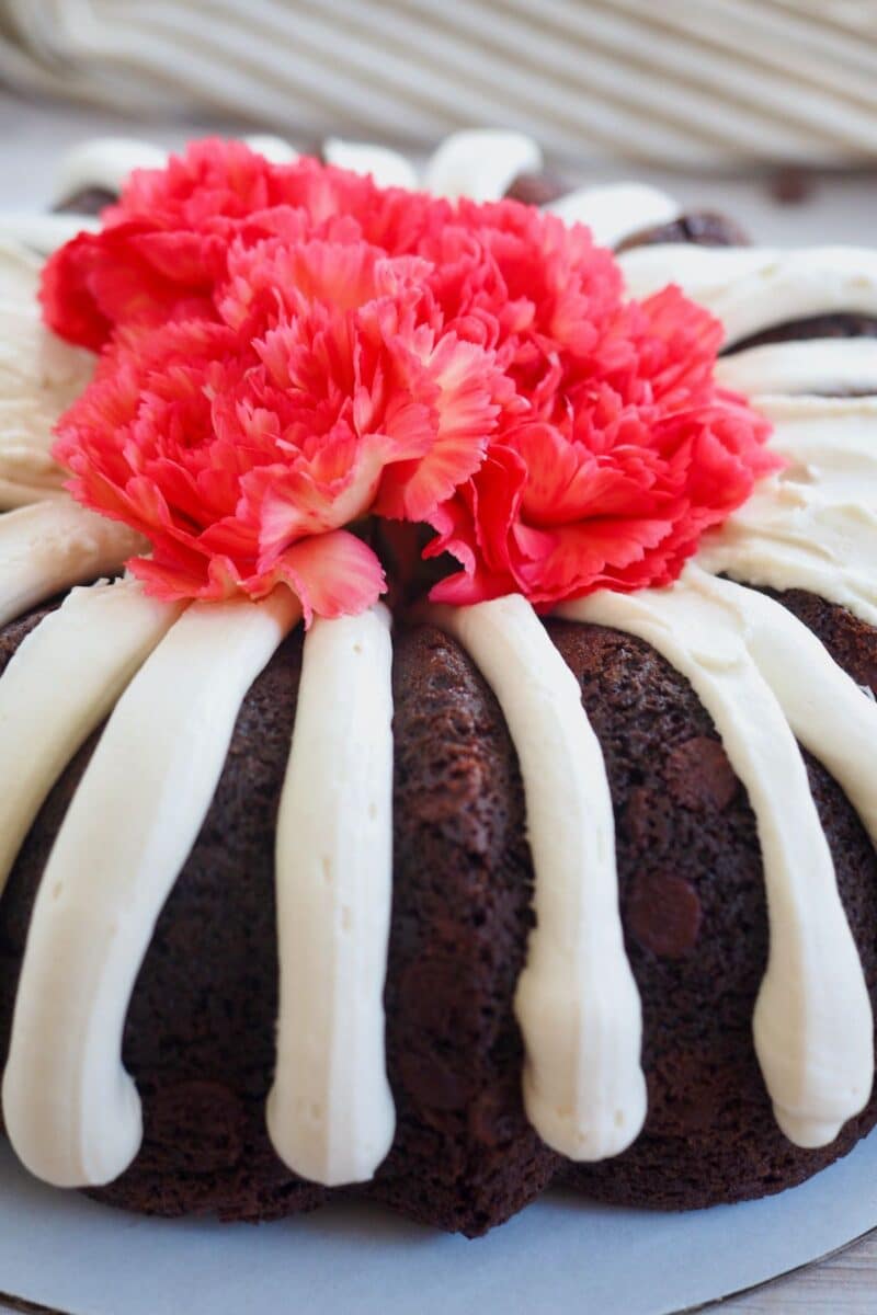 Fingers of creamy frosting on a chocolate chocolate chip bundt cake with pink carnations on top. 