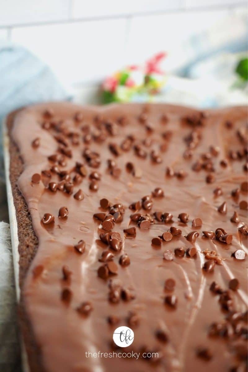 Corner shot of a pan filled with Texas Sheet Cake topped with fudge frosting and mini chocolate chips.