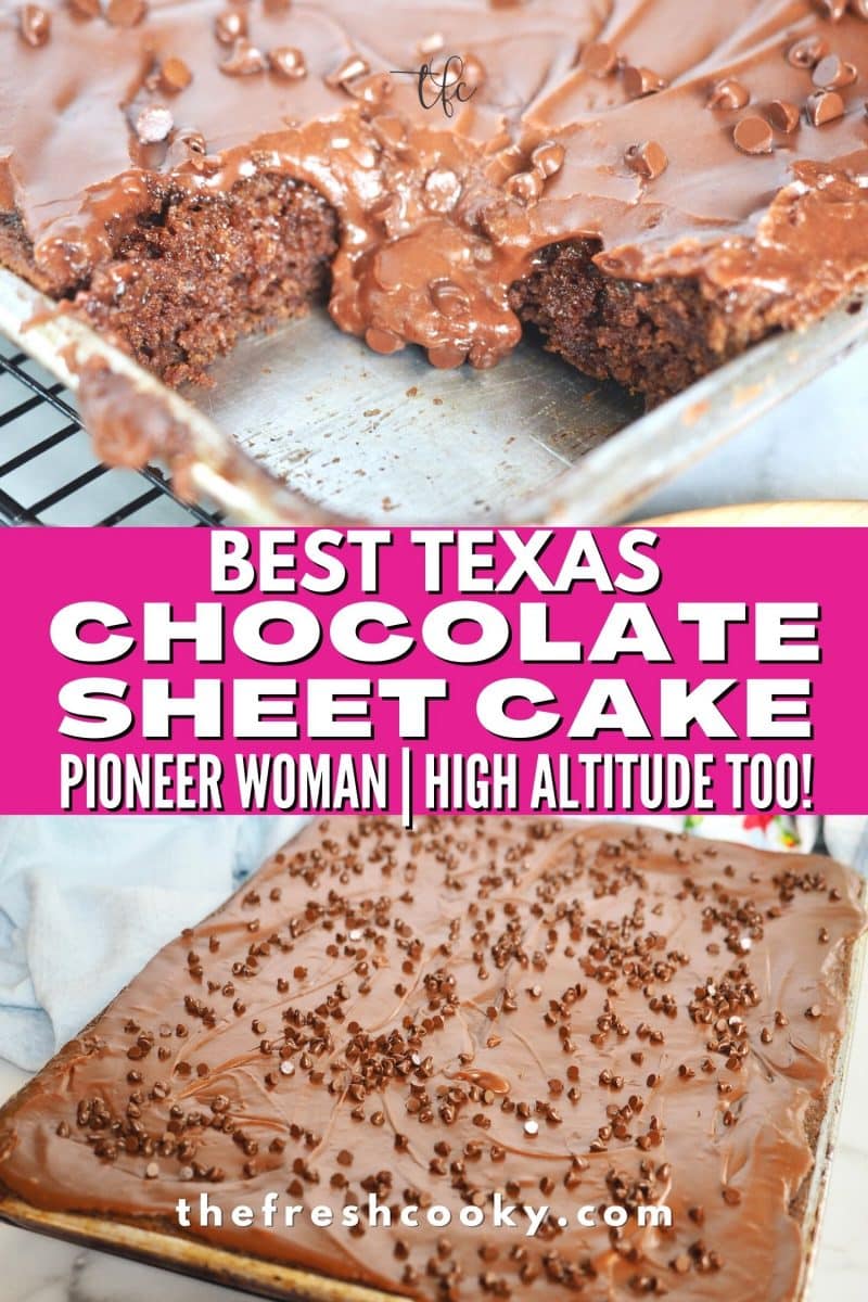 Long pin for Best Texas Chocolate Sheet Cake with two images, top image of gooey frosting spilling into pan after a piece was removed, bottom image of full size chocolate sheet cake with frosting and mini chocolate chips on top.