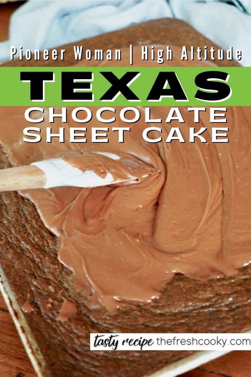 Pin for High Altitude Pioneer Woman Texas Chocolate Sheet Cake with spatula spreading cooked fudge frosting on top of a chewy chocolate sheet cake.