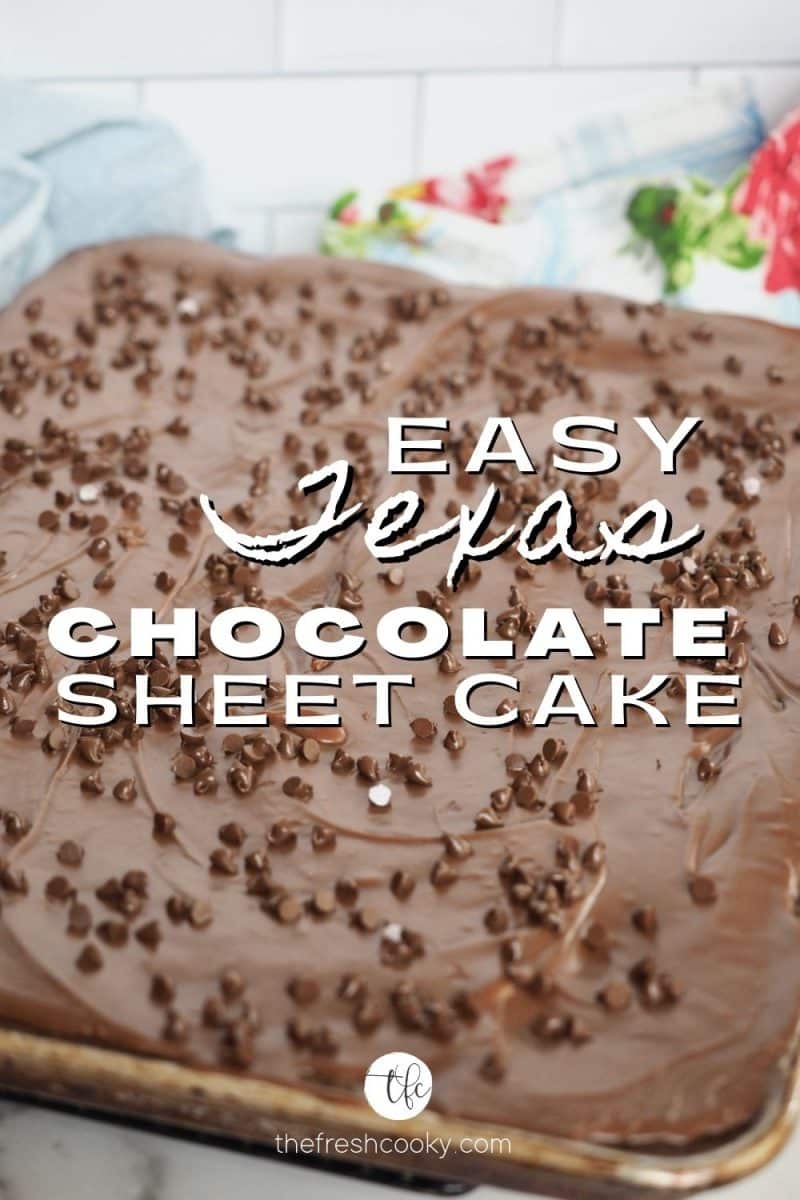 Pin for Easy Texas Sheet Cake with image of chocolate sheet cake covered in fudge frosting and mini chocolate chips.