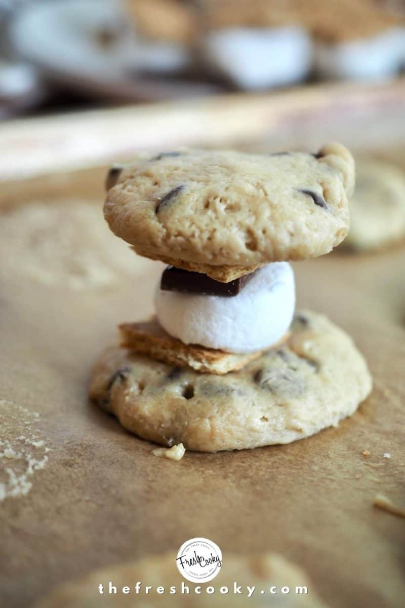 Two cookie dough discs, sandwiching a s'more stack sitting on a parchment lined baking sheet.