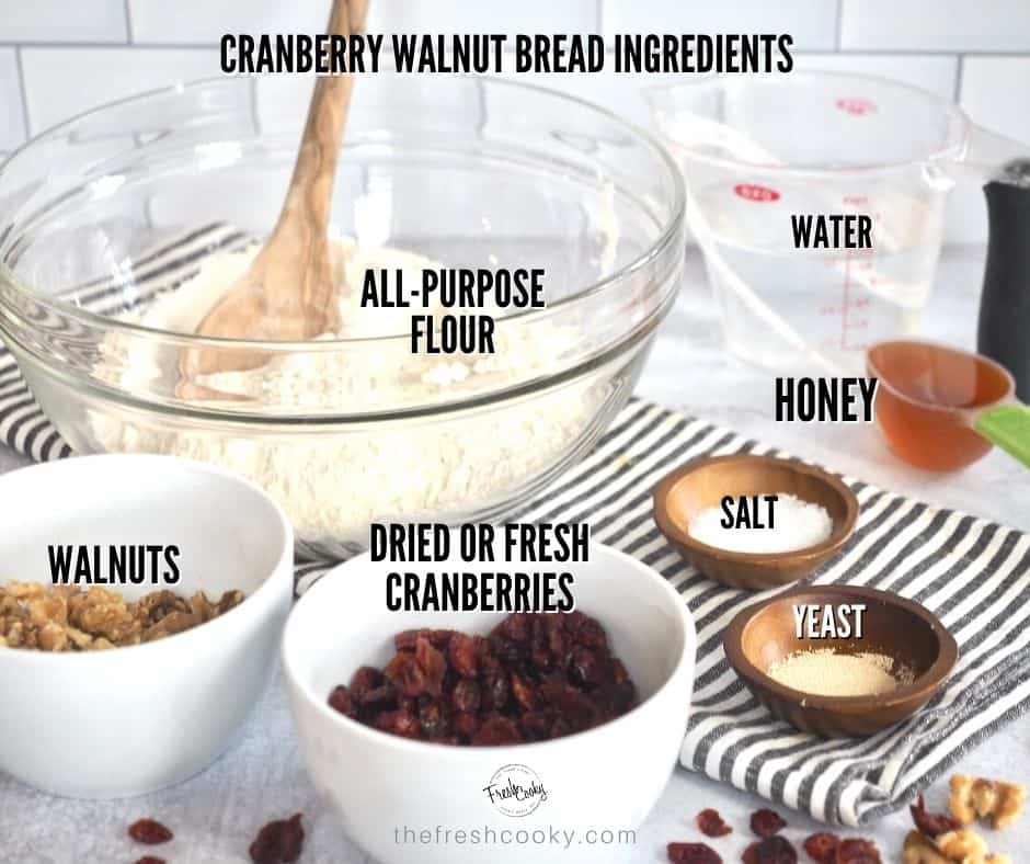 Ingredients for Cranberry Nut Bread left to right. All purpose flour, water, honey, salt, yeas, dried cranberries, walnuts.