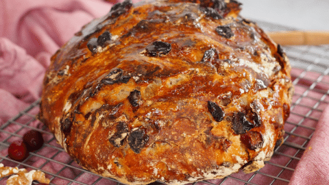 Dutch Oven Bread - Dark Chocolate Cranberry Walnut Dutch Oven Bread