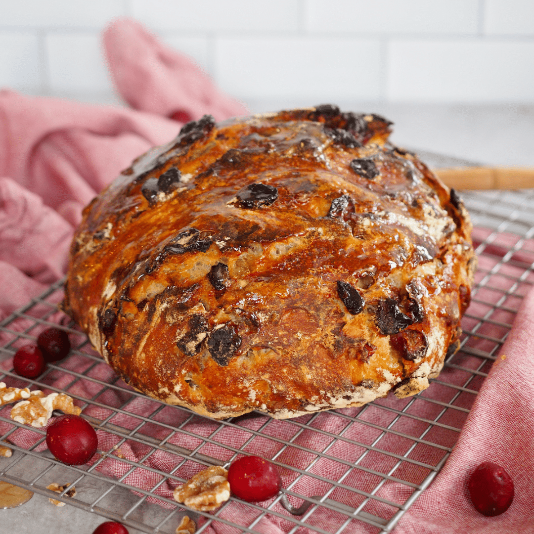 Loaf of cranberry walnut no knead bread on cooling rack with fresh cranberries and walnuts.