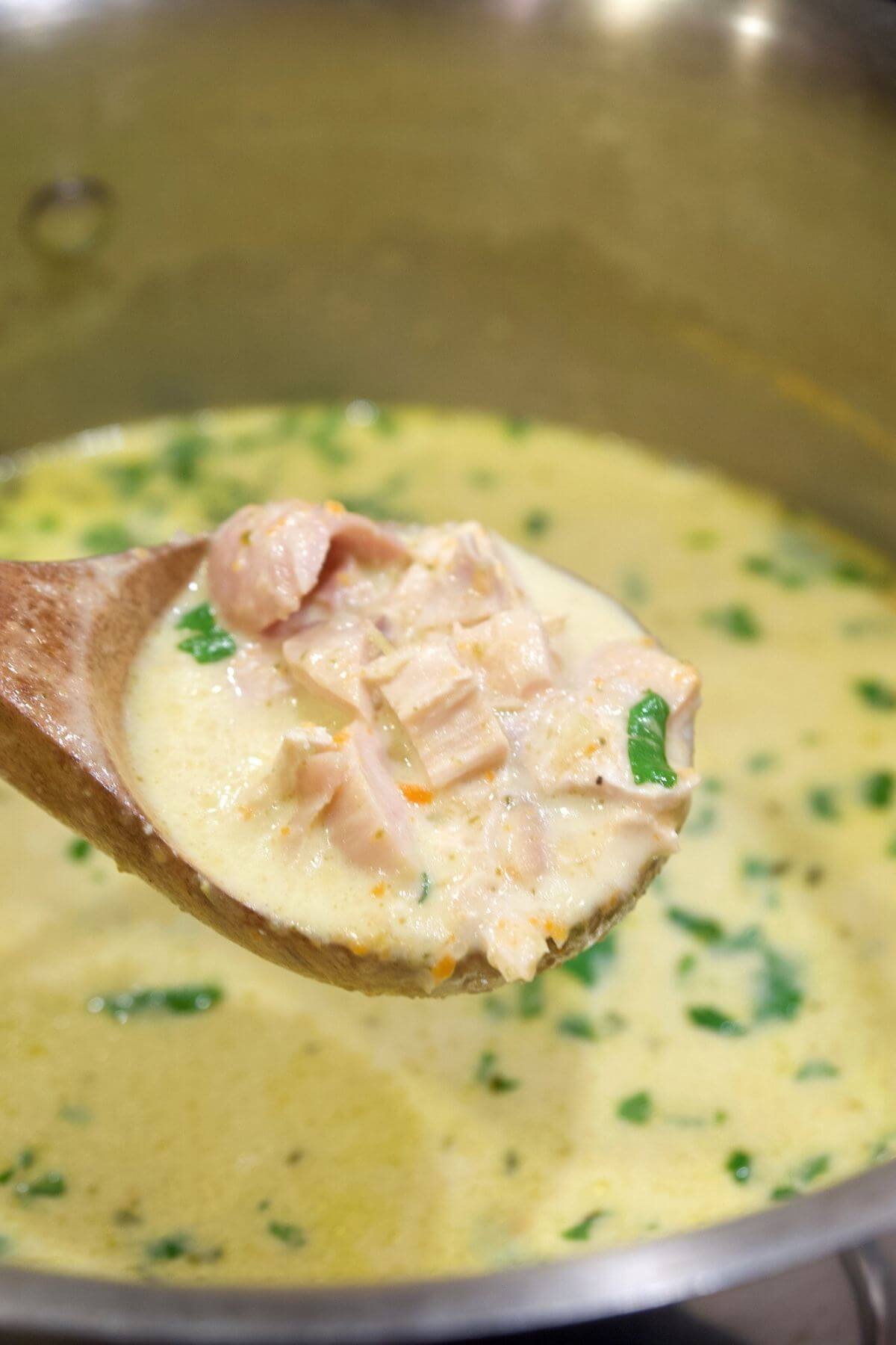 Soup pot filled with brothy, creamy chicken poblano soup with a spoonful of soup. 