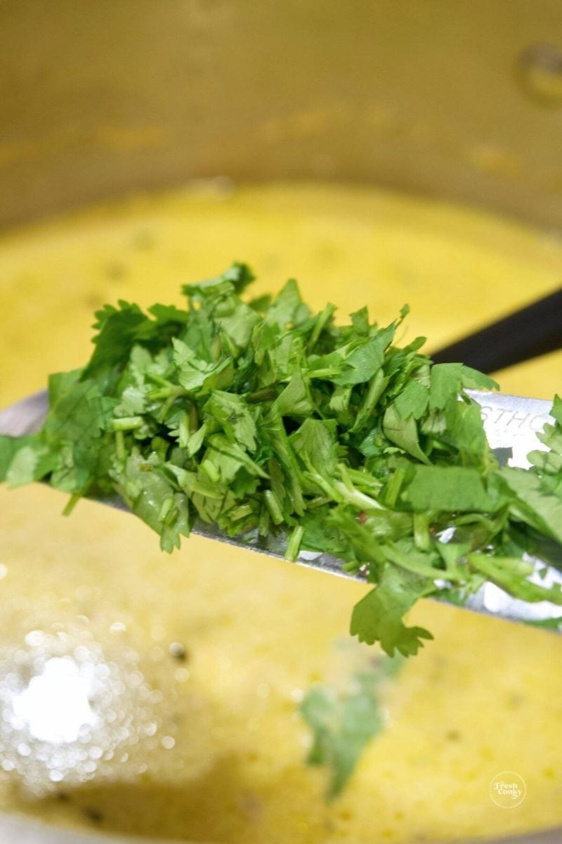 Add chopped cilantro to soup pot for poblano soup. 