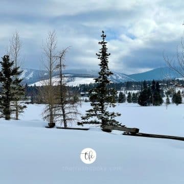 wintery_scene_withPine_trees_cloudy_sky_mountains
