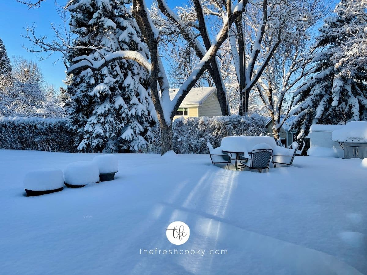 Winter snow scene, backyard with patio furniture buried under snow.