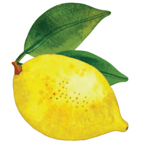 watercolor_lemon_the fresh cooky logo