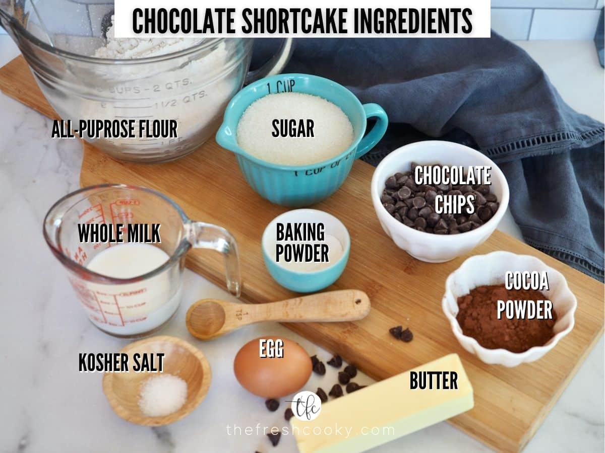 Ingredients for Chocolate Shortcake L-R All purpose flour, sugar, chocolate chips, cocoa powder, butter, egg, salt, baking powder and milk.