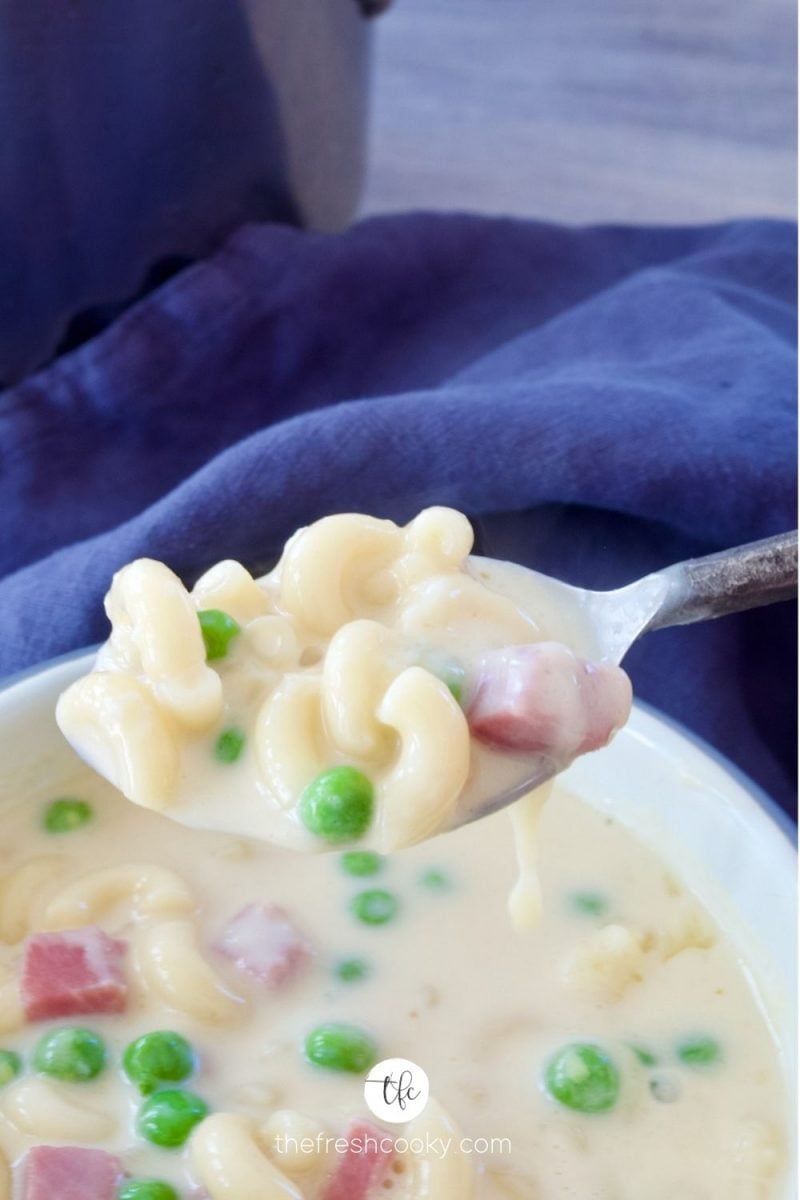 Spoonful of ham, mac and cheese soup.