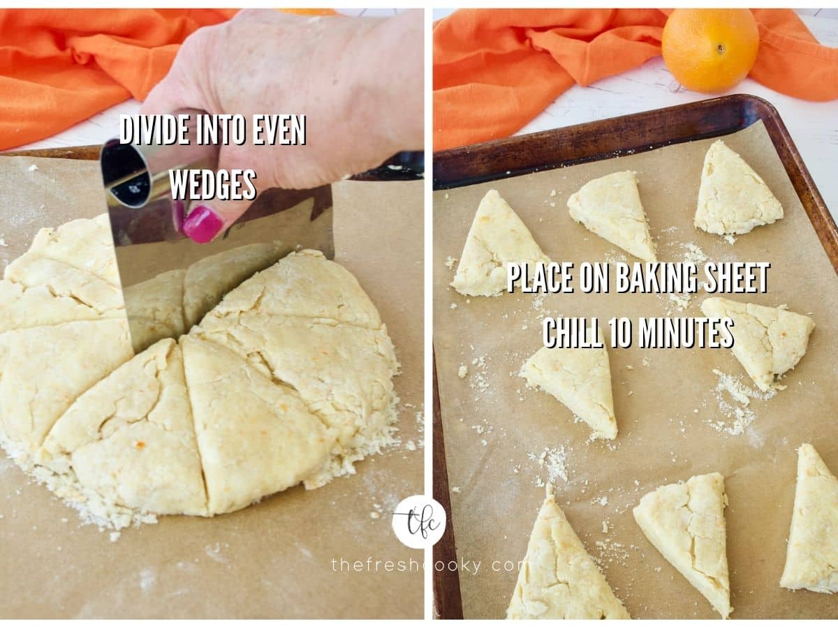 process shots for orange scones panera copycat, bench scraper cutting scones and scones separated onto parchment lined baking sheet.