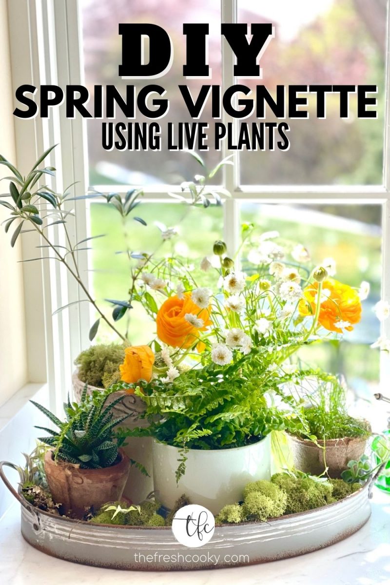 Pin for DIY Spring Vignette using live plants with image of tray filled with 4 different small potted plants and a vase of flowers with moss around the base.